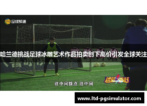 哈兰德挑战足球冰雕艺术作品拍卖创下高价引发全球关注
