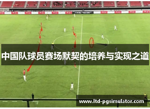 中国队球员赛场默契的培养与实现之道