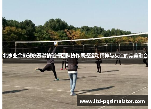 北京业余排球联赛激情碰撞团队协作展现运动精神与友谊的完美融合