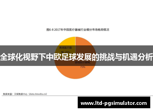 全球化视野下中欧足球发展的挑战与机遇分析