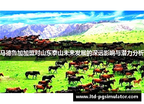 马德鲁加加盟对山东泰山未来发展的深远影响与潜力分析