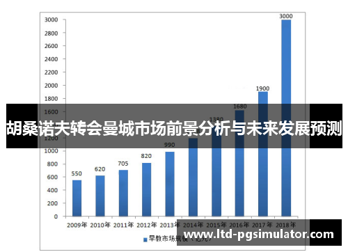 胡桑诺夫转会曼城市场前景分析与未来发展预测
