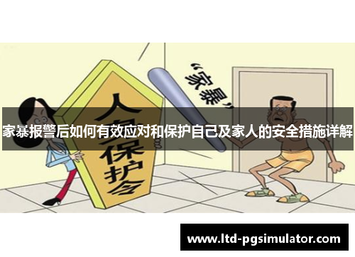 家暴报警后如何有效应对和保护自己及家人的安全措施详解